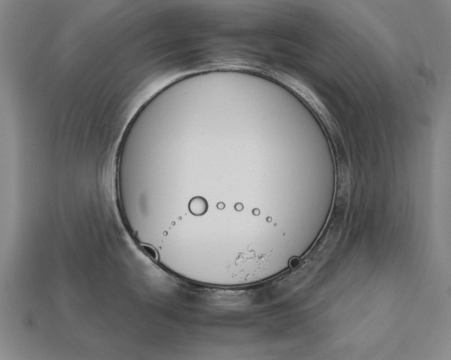 X0000113171439200909181823