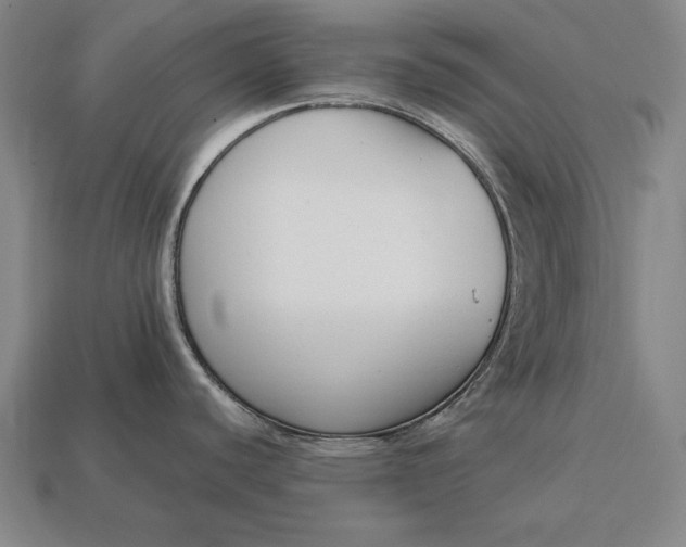 X0000113171440200909181823