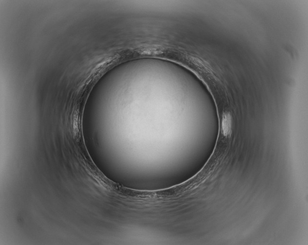 X0000113171444200909181822