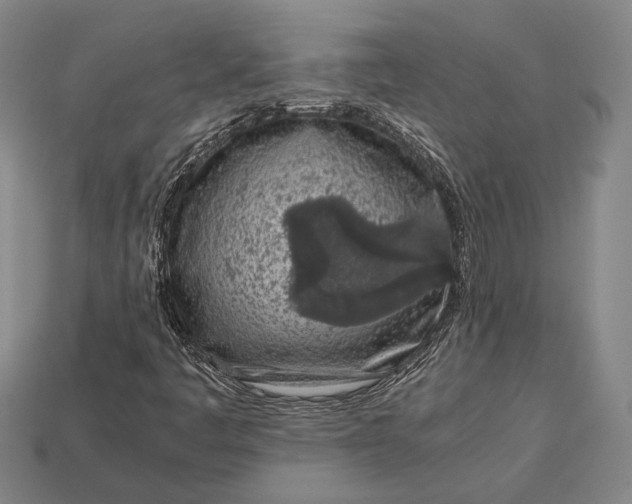 X0000113171445200909181822