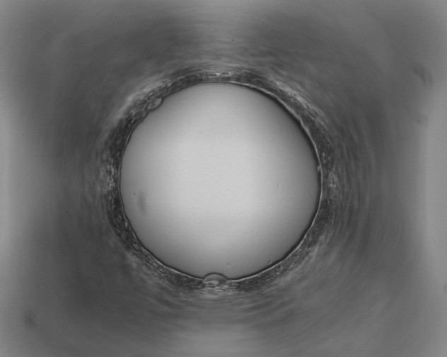 X0000113171447200909181822