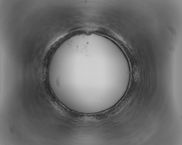 X0000113171448200909181822