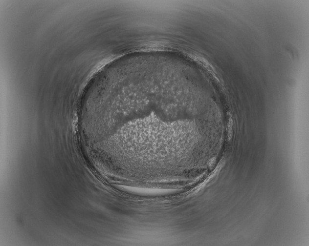 X0000113171449200909181822