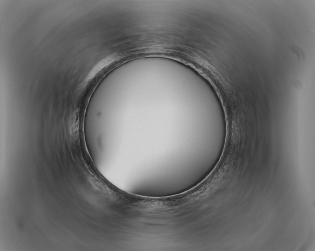 X0000113171450200909181822