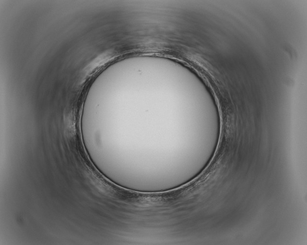 X0000113171451200909181822