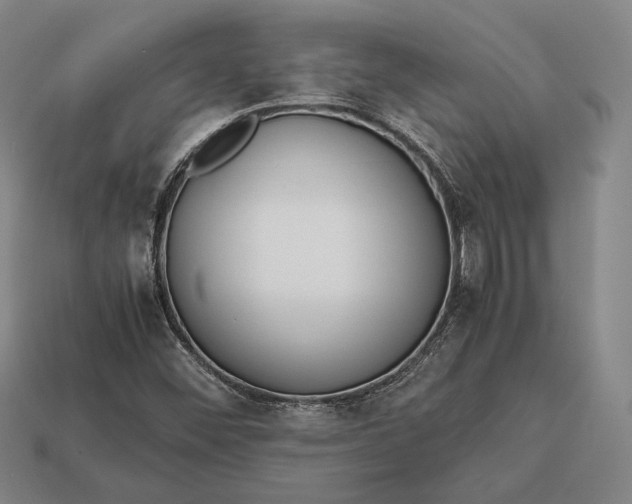 X0000113171452200909181822