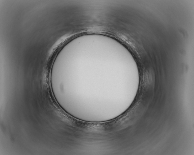 X0000113171454200909181822