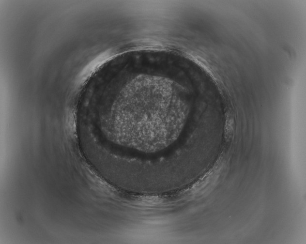 X0000113171455200909181822