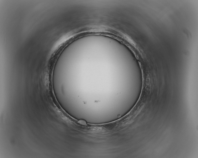 X0000113171456200909181822