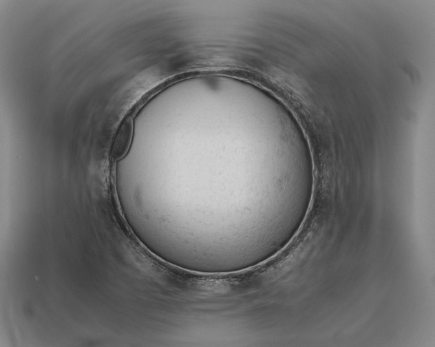 X0000113171457200909181822