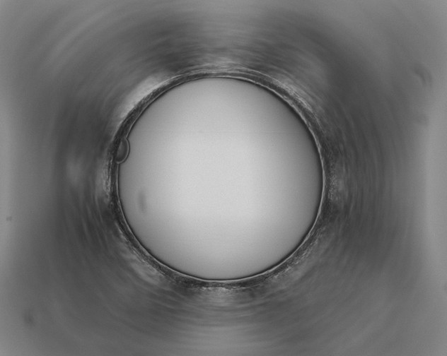 X0000113171458200909181822