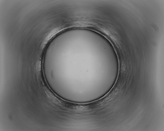 X0000113171459200909181822