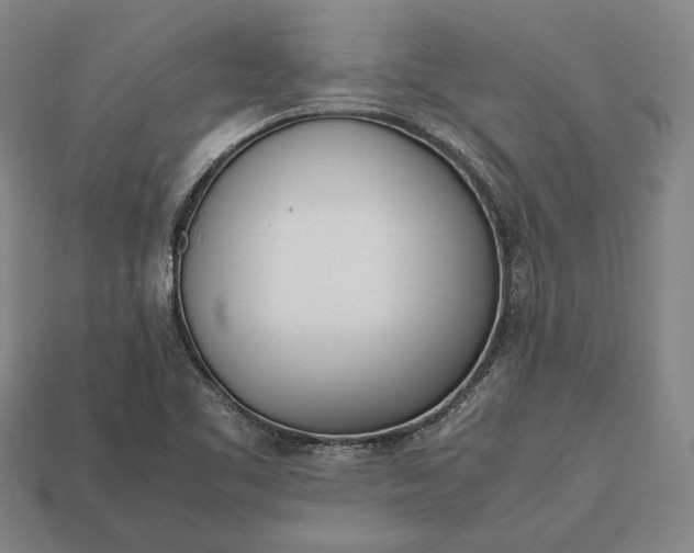 X0000113171461200909181822