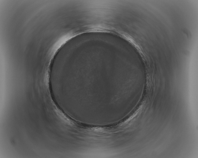 X0000113171463200909181822