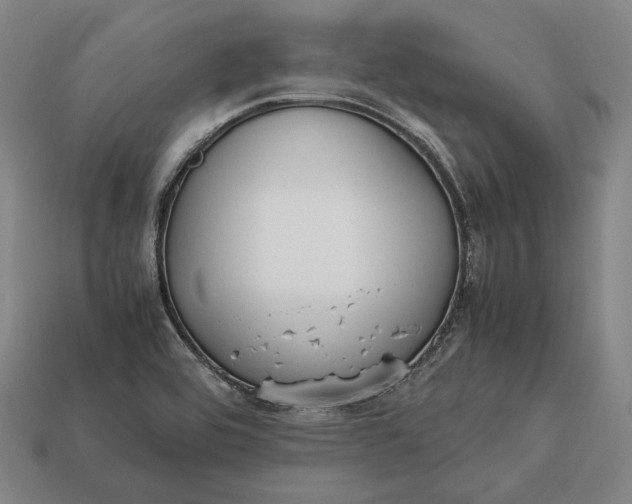 X0000113171464200909181822