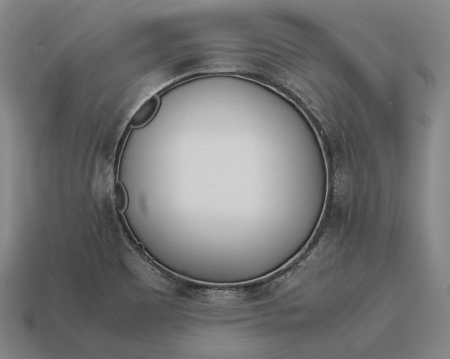 X0000113171465200909181822