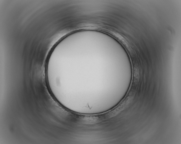 X0000113171466200909181822