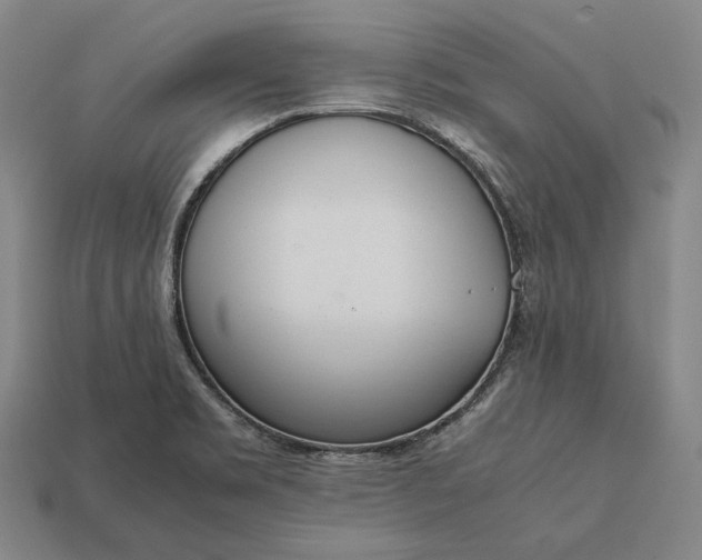 X0000113171469200909181822