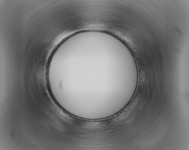 X0000113171470200909181822
