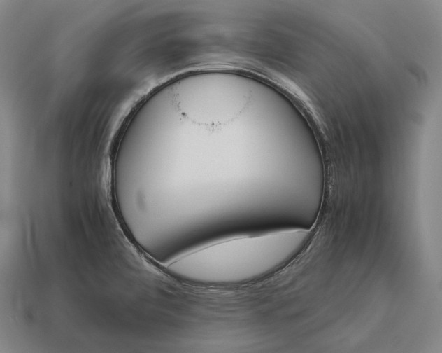 X0000113171472200909181822