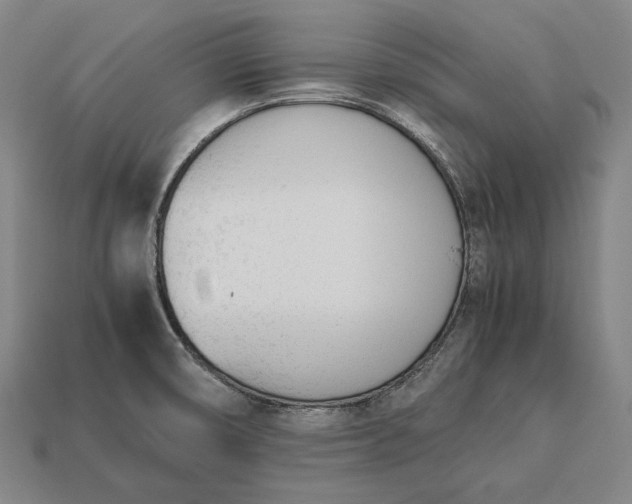 X0000113171474200909181821