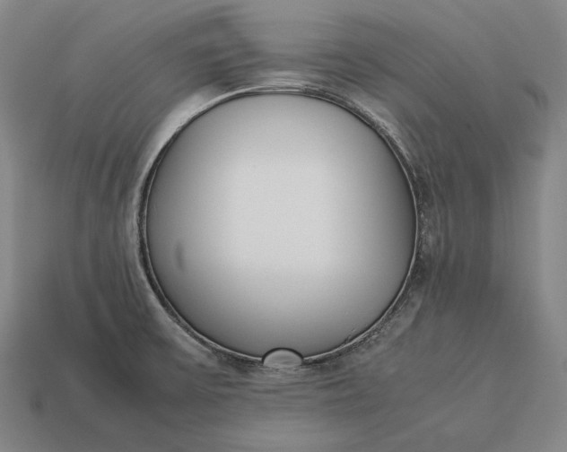 X0000113171475200909181821