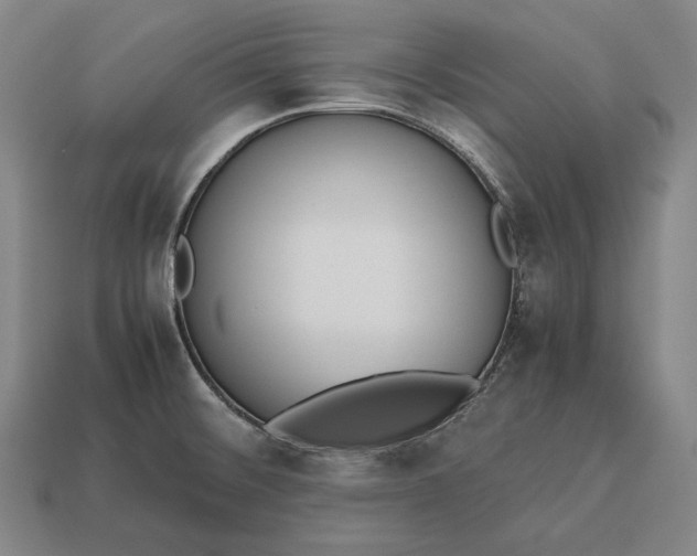 X0000113171476200909181821