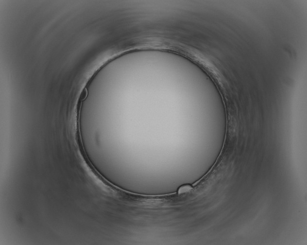 X0000113171479200909181821