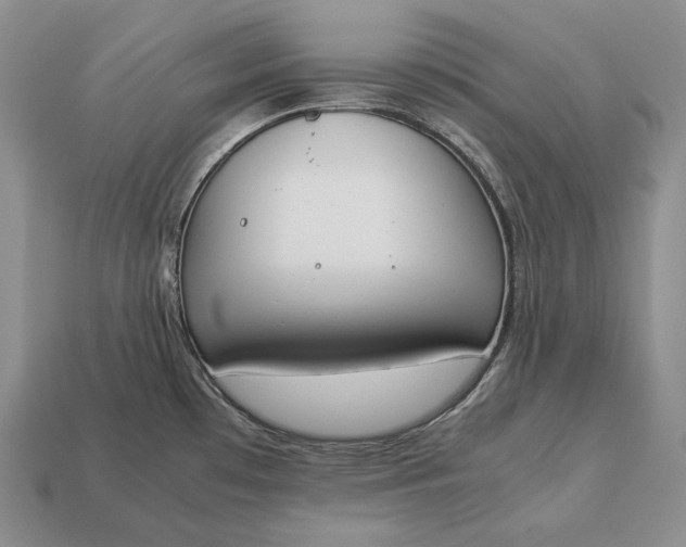 X0000113171481200909181821