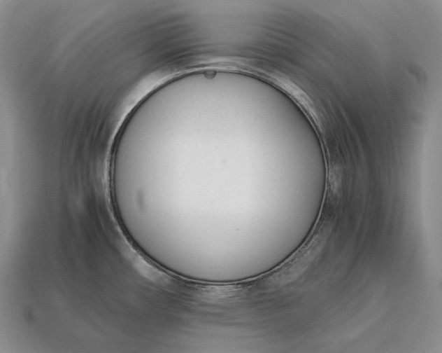 X0000113171482200909181821