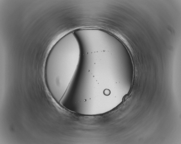 X0000113171485200909181821
