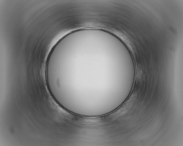 X0000113171486200909181821