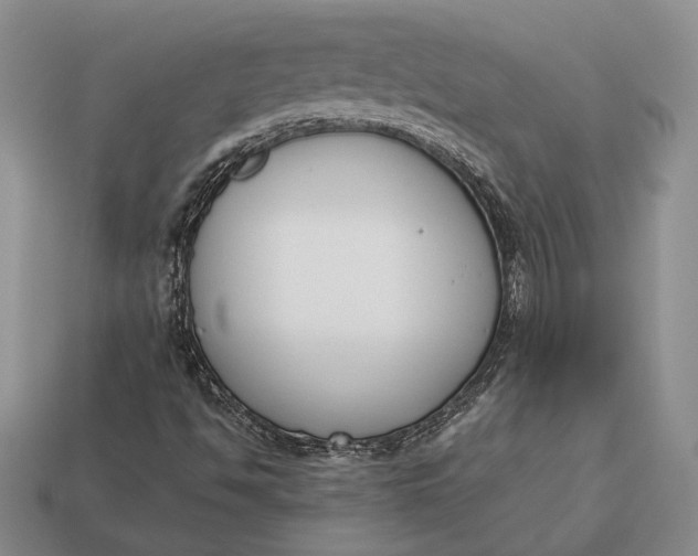 X0000113171494200909181821