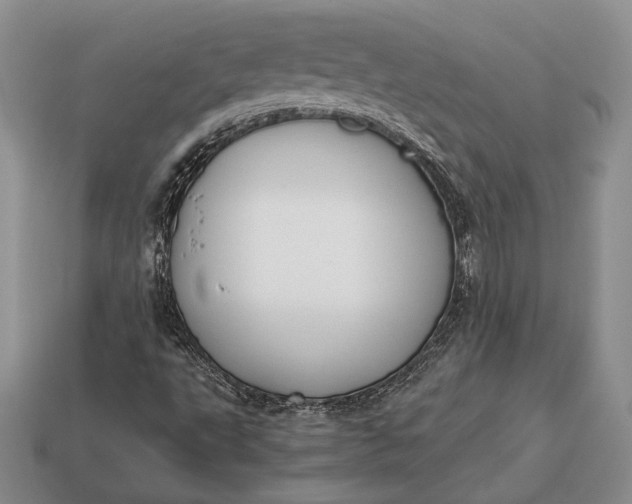 X0000113171495200909181821