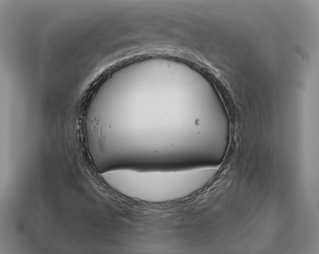X0000113171496200909181821