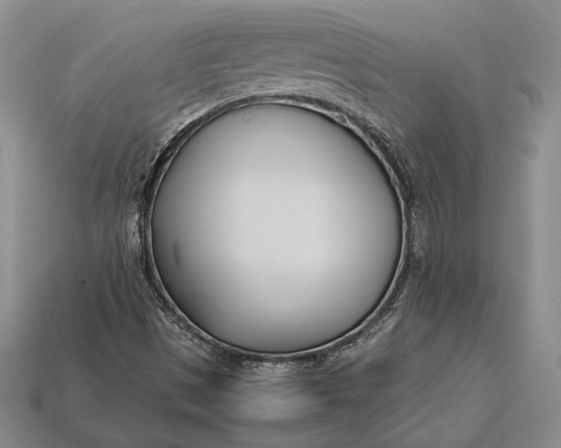 X0000113171497200909181821