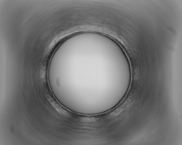 X0000113171499200909181821