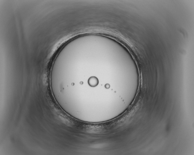 X0000113171501200909181821