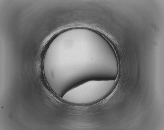 X0000113171502200909181821
