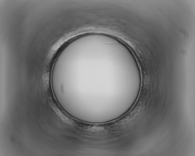 X0000113171503200909181821
