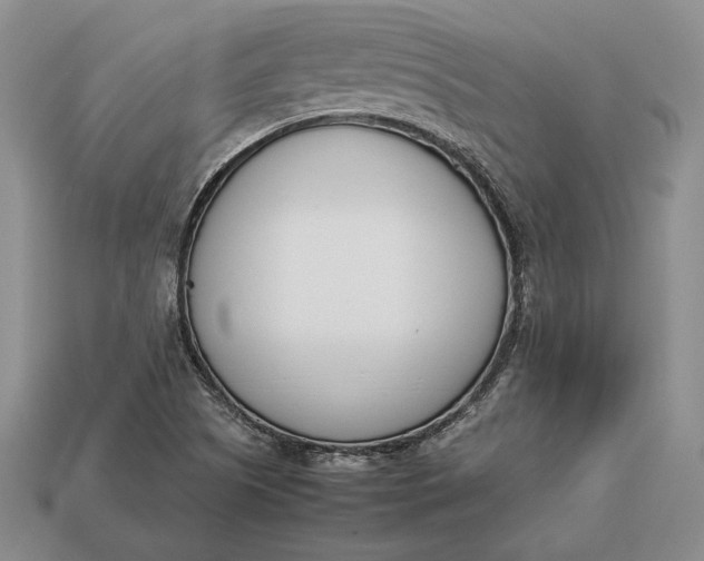 X0000113171505200909181821