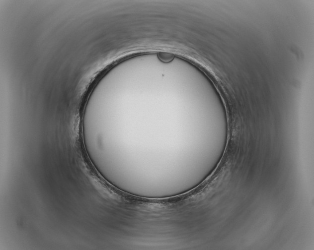 X0000113171507200909181821