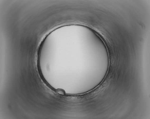 X0000113171508200909181821