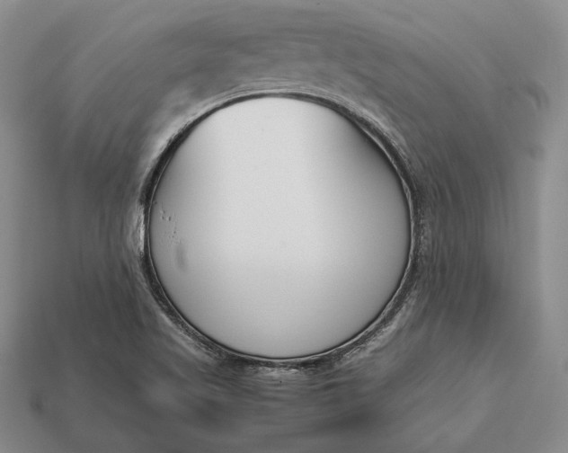 X0000113171509200909181821