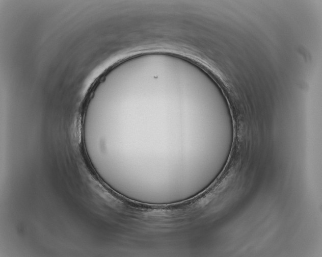 X0000113171510200909181821