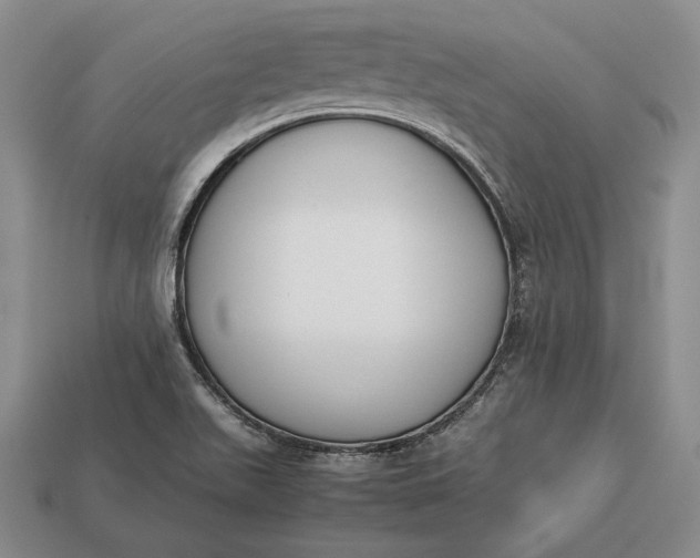 X0000113171511200909181821