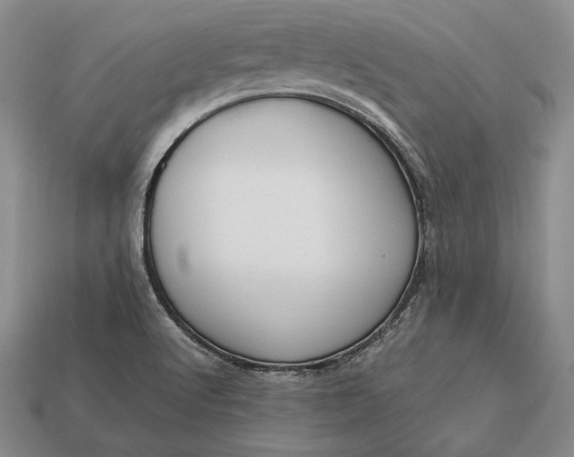 X0000113171512200909181821