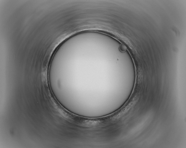 X0000113171513200909181821