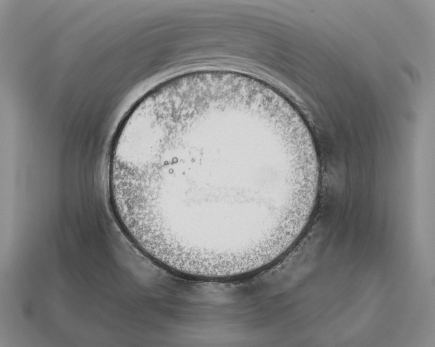 X0000113171514200909181821