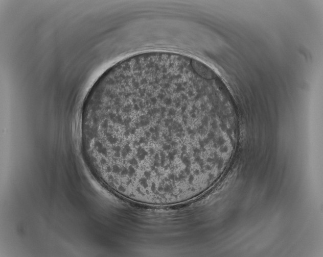 X0000113171515200909181821